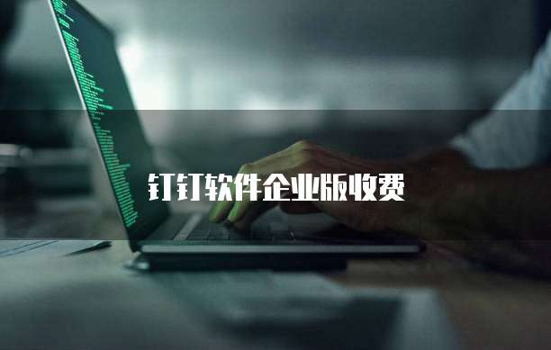 钉钉软件企业版收费