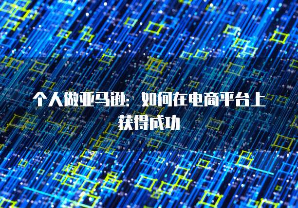 个人做亚马逊：如何在电商平台上获得成功