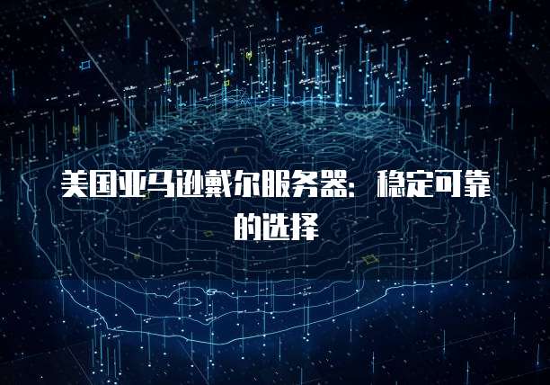 美国亚马逊戴尔服务器：稳定可靠的选择