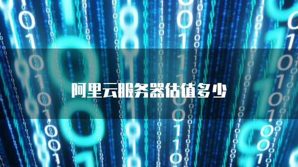 阿里云服务器估值多少