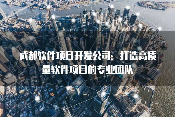 成都软件项目开发公司：打造高质量软件项目的专业团队