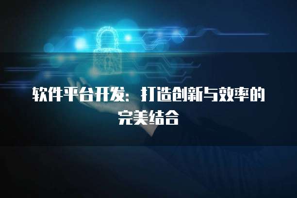 软件平台开发：打造创新与效率的完美结合