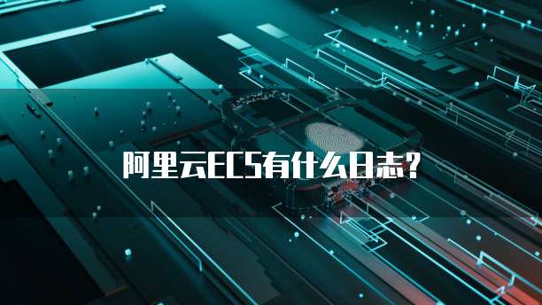 阿里云ECS有什么日志？