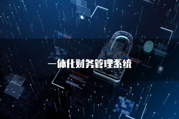 一体化财务管理系统
