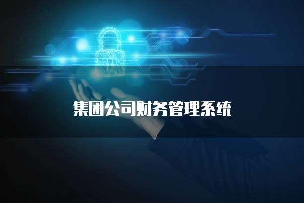 集团公司财务管理系统