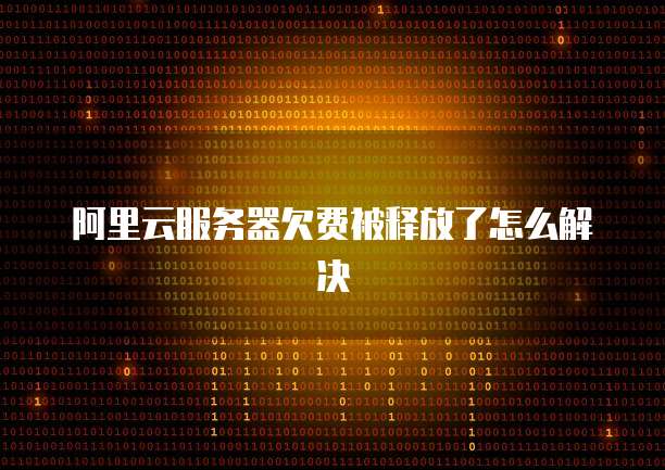 阿里云服务器欠费被释放了怎么解决