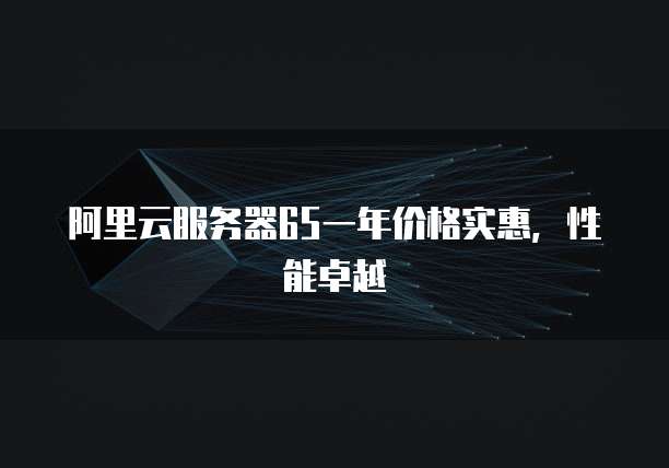 阿里云服务器65一年价格实惠，性能卓越