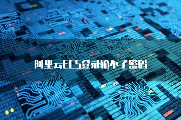 阿里云ECS登录输不了密码