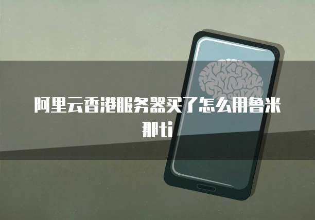 阿里云香港服务器买了怎么用鲁米那ti
