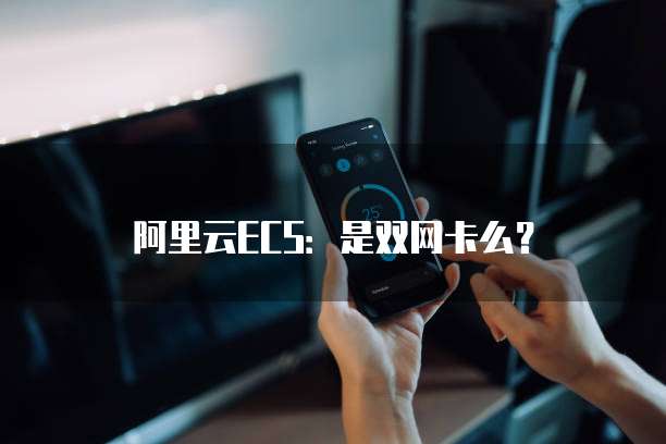 阿里云ECS：是双网卡么？