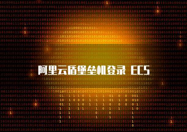 阿里云盾堡垒机登录 ECS