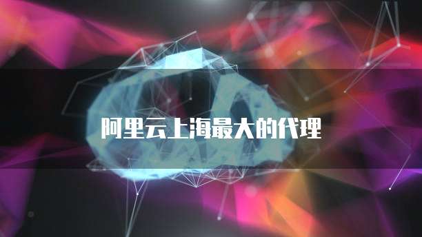 阿里云上海最大的代理