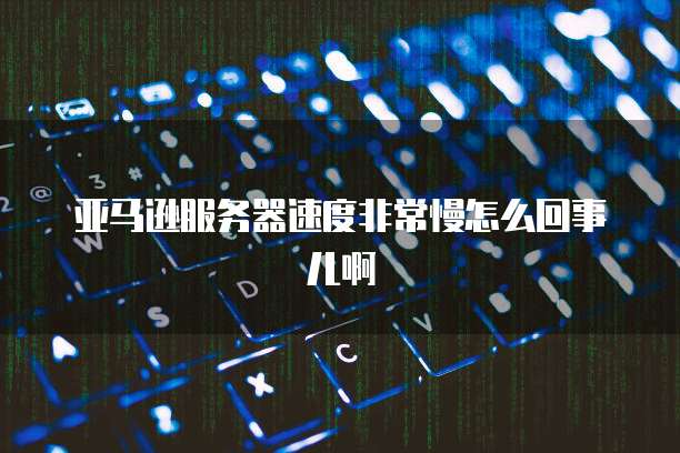 亚马逊服务器速度非常慢怎么回事儿啊