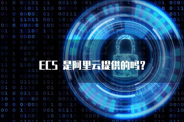 ECS 是阿里云提供的吗？