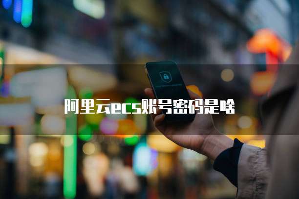 阿里云ecs账号密码是啥