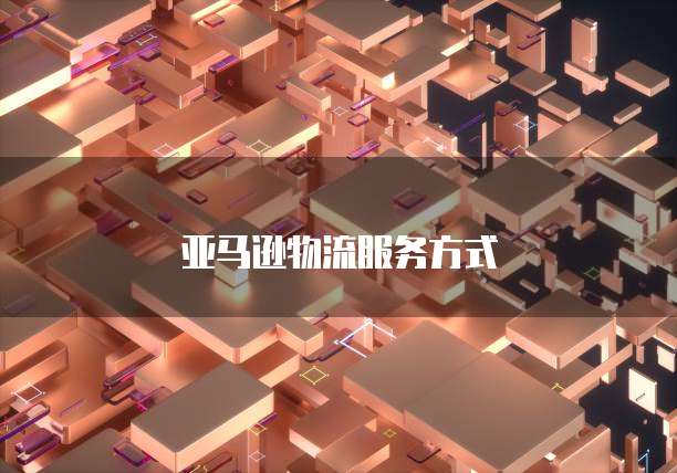 亚马逊物流服务方式