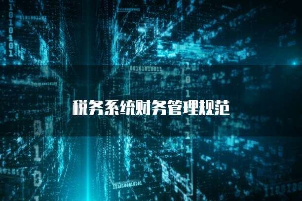 税务系统财务管理规范