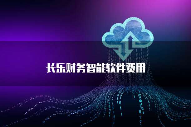 长乐财务智能软件费用