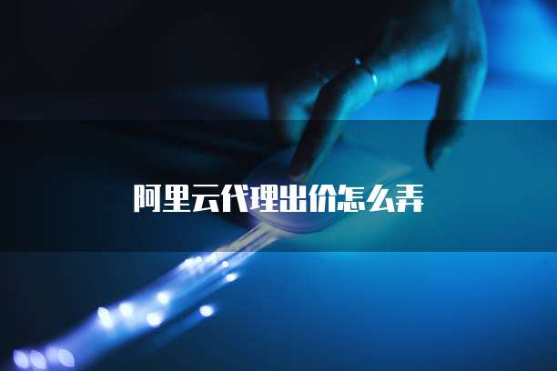 阿里云代理出价怎么弄