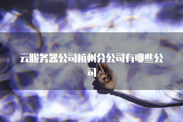 云服务器公司杭州分公司有哪些公司