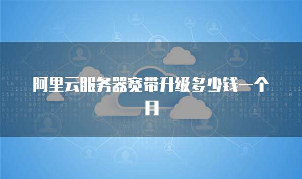 阿里云服务器宽带升级多少钱一个月