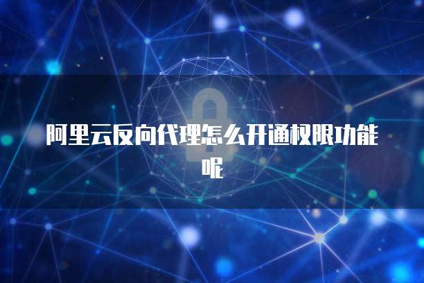阿里云反向代理怎么开通权限功能呢