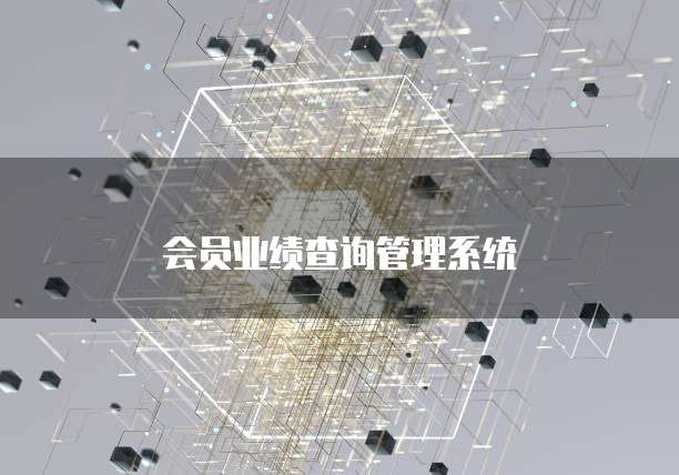 会员业绩查询管理系统