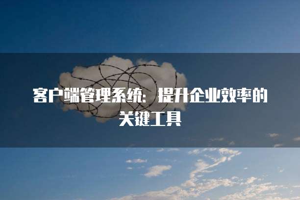 客户端管理系统：提升企业效率的关键工具