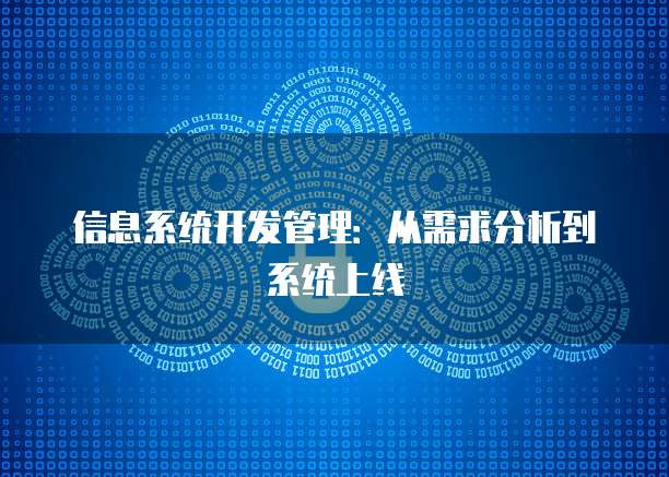 信息系统开发管理：从需求分析到系统上线