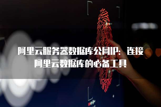 阿里云服务器数据库公网IP：连接阿里云数据库的必备工具