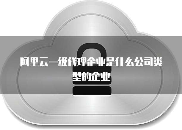 阿里云一级代理企业是什么公司类型的企业