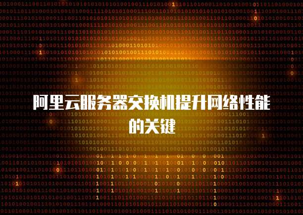 阿里云服务器交换机提升网络性能的关键