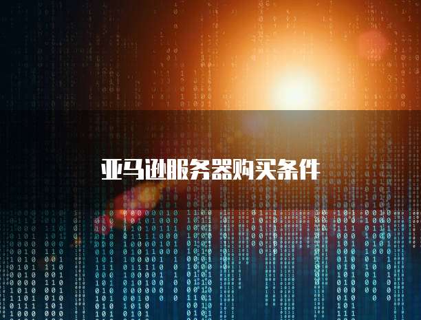 亚马逊服务器购买条件
