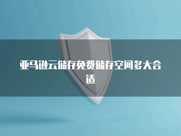 亚马逊云储存免费储存空间多大合适