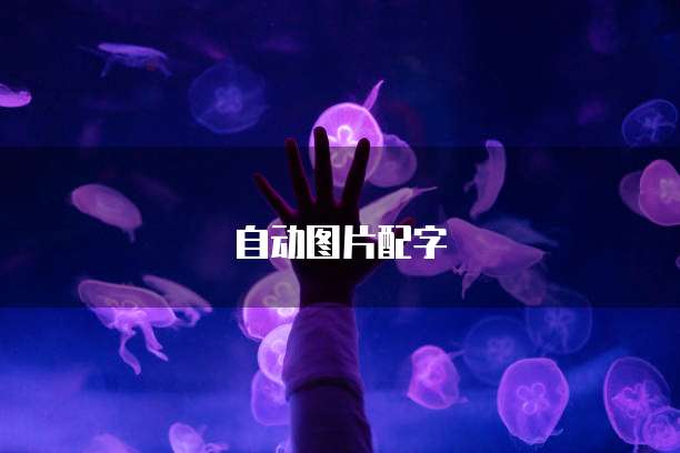 阿里云ECS快照与镜像备份与恢复的最佳实践