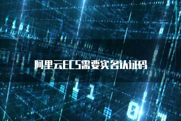 阿里云ECS需要实名认证码