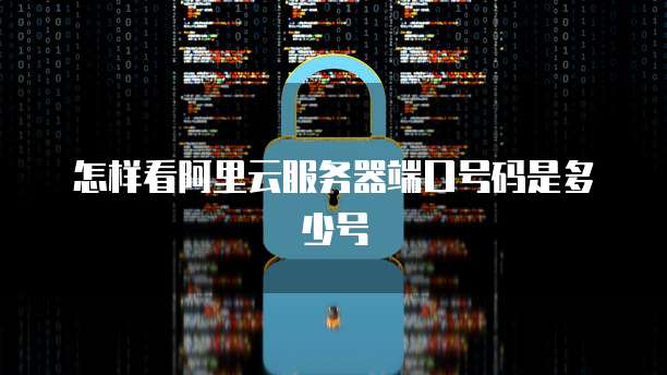 怎样看阿里云服务器端口号码是多少号