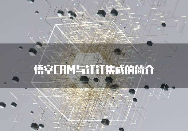 悟空CRM与钉钉集成的简介