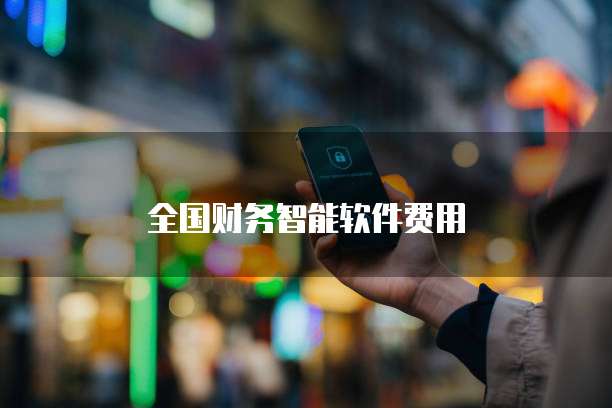 全国财务智能软件费用