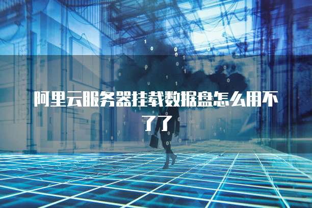 阿里云服务器挂载数据盘怎么用不了了