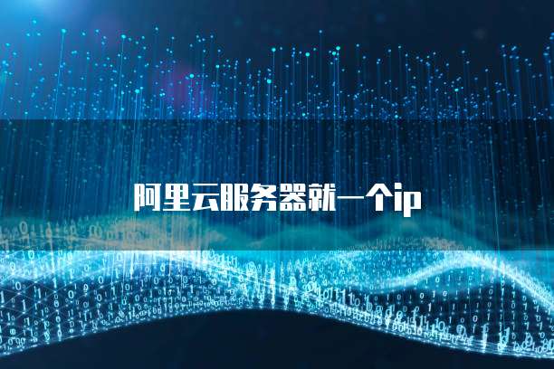 阿里云服务器就一个ip