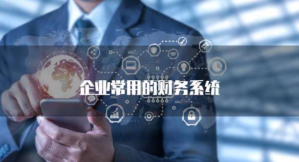 企业常用的财务系统