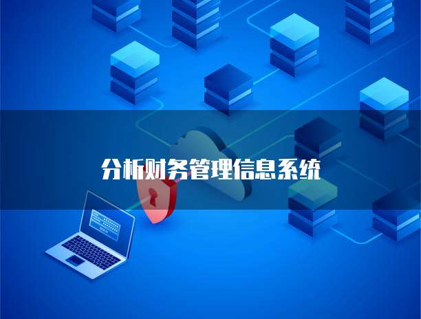 分析财务管理信息系统