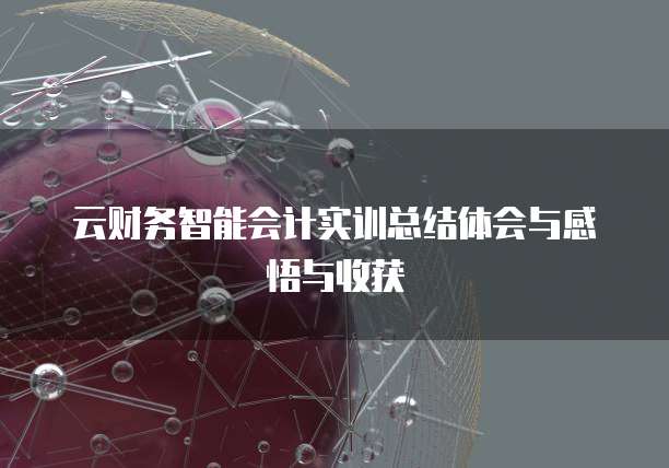 云财务智能会计实训总结体会与感悟与收获