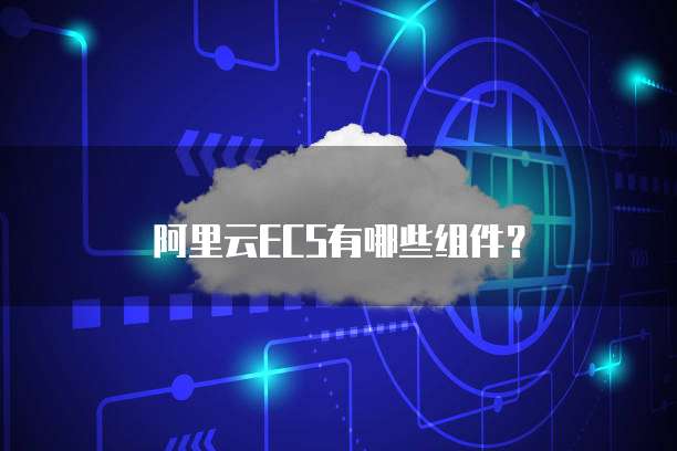 阿里云ECS有哪些组件？