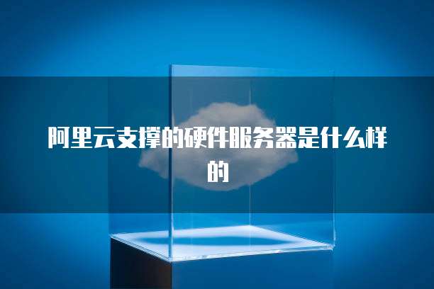 阿里云支撑的硬件服务器是什么样的