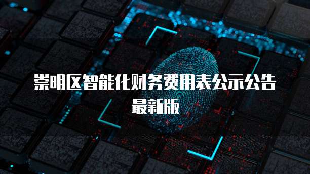 崇明区智能化财务费用表公示公告最新版