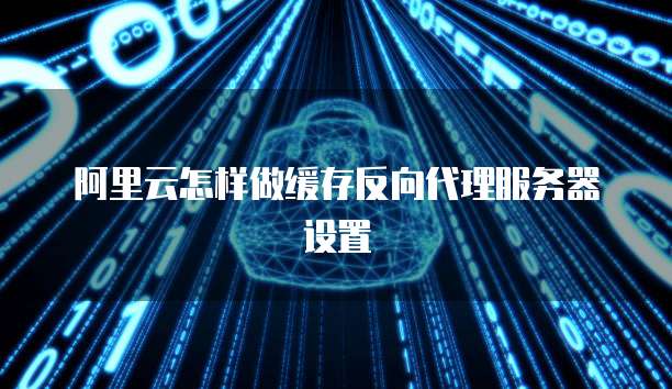 阿里云怎样做缓存反向代理服务器设置