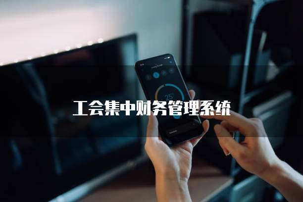 工会集中财务管理系统