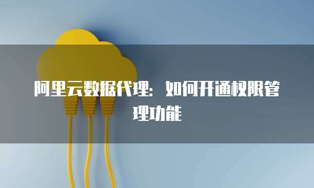 阿里云数据代理：如何开通权限管理功能